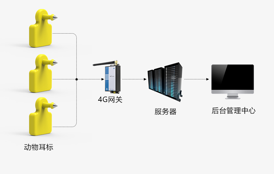 拓扑图.jpg